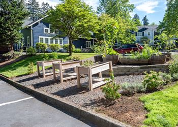 Community garden