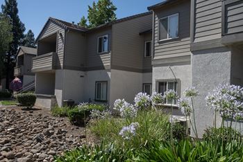 Patio or deck