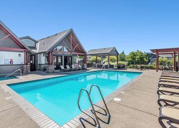Swimming pool and spa