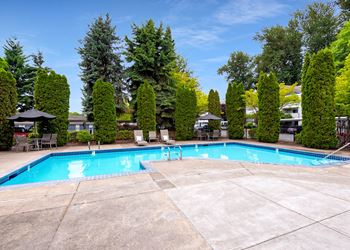 Sparkling pool