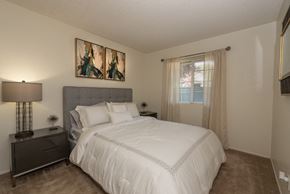 Sacramento apartment for rent - model primary bedroom at Woodbridge Apartments, Sacramento, 95833