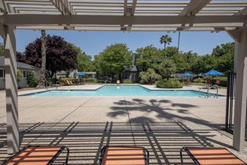  Swimming pool arbor and furniture