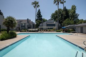 Sacramento apartment for rent - swimming pool and pool deck with  lounge chairs and umbrellas at Woodbridge Apartments, Sacramento, California 95833