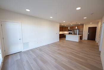 Open-concept kitchens
