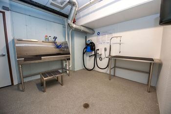 Dog wash & grooming stations (available in select apartments and/or buildings)
