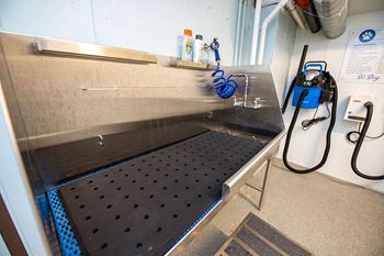 Dog wash & grooming stations (available in select apartments and/or buildings)