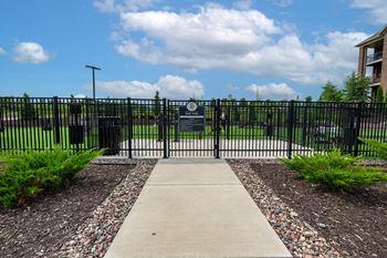 Dog park & agility course