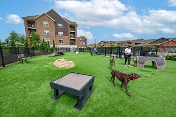 Dog park & agility course