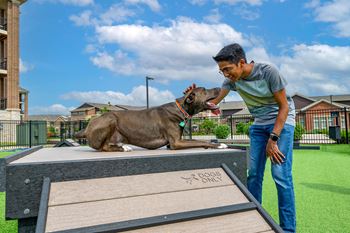 Dog park & agility course