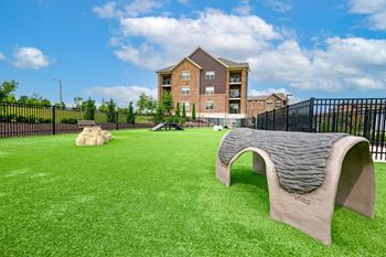 Dog park & agility course