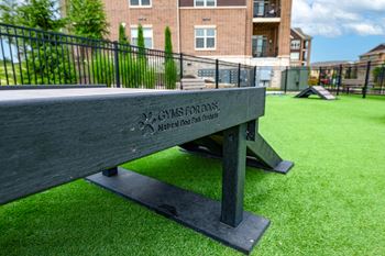 Dog park & agility course