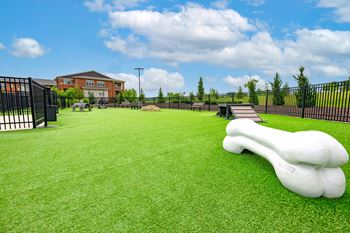 Dog park & agility course