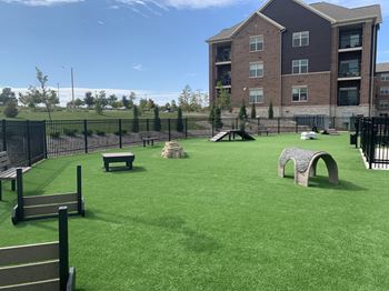 Dog park & agility course