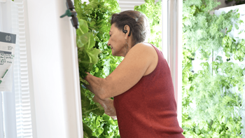 The green room indoor hydroponic gardens