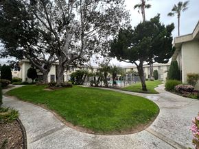 Santee apartment for rent - Beautiful trees, walkways and pool area at IKARIA Apartments in Santee, California.