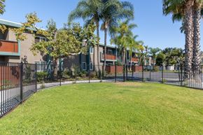 Lemon Grove apartment for rent - A green lawn in front of a building with a black fence.