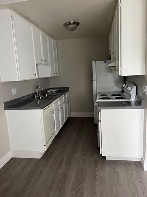 Santee apartment for rent - Kitchen with plank style flooring, spacious whit cabinets, dishwasher, refrigerator, and electric stove/oven at IKARIA Apartments in Santee, California.