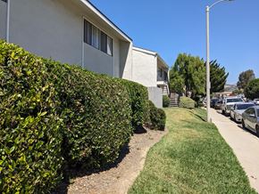 Santa Paula apartment for rent - Sidewalk view of landscaping around Steckel Apartments in Santa Paula, California.