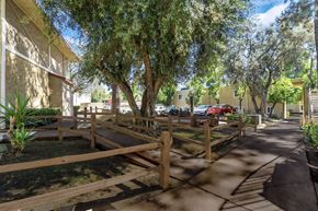 Alpine apartment for rent - A tree-lined walkway with a wooden fence on one side.
