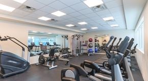 Clearwater apartment for rent - A gym with treadmills, exercise bikes, and other equipment.