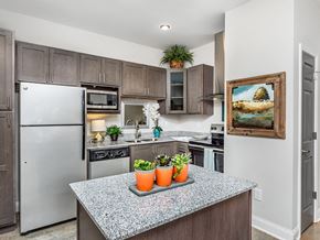 Mebane apartment for rent - 119 South apartments kitchen