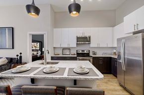 Raleigh apartment for rent - 616 at the Village model