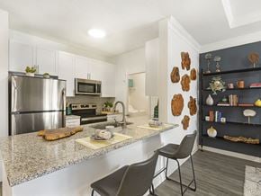 Alpharetta apartment for rent - the enclave at homecoming terra vista kitchen