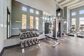 Annapolis apartment for rent - the gym at the preserve at cardinal heights apartments