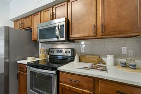 Tampa apartment for rent - a kitchen with stainless steel appliances and wooden cabinets