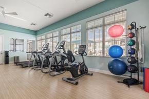 Miami apartment for rent - A gym with treadmills, elliptical machines, and exercise balls.