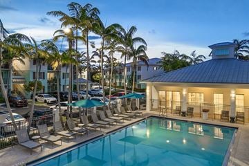 Miami apartment for rent - A pool surrounded by palm trees and lounge chairs.