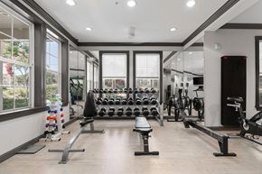 Sanford apartment for rent - A spacious gym with a variety of equipment and a view of trees outside the windows.