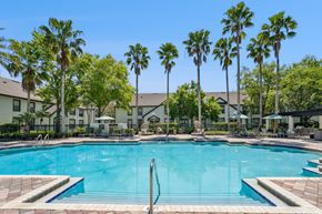 Palm Harbor apartment for rent - A large swimming pool surrounded by palm trees and lounge chairs.