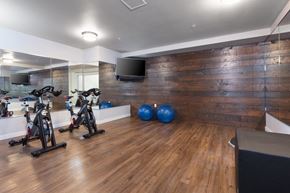 Corte Madera apartment for rent - a gym with exercise balls and a tv on the wall