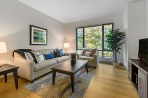 Boston apartment for rent - A living room with a couch, a chair, a coffee table, and a television.