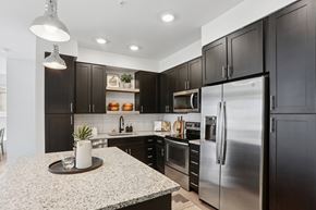 Parker apartment for rent - A modern kitchen with dark brown cabinets and stainless steel appliances.