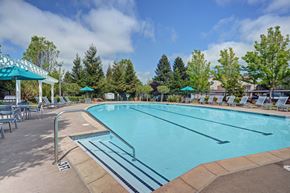 Rohnert Park apartment for rent - A large outdoor swimming pool with a blue sky and trees in the background.
