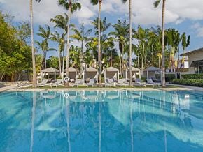 Fort Lauderdale apartment for rent - a hotel pool with palm trees in the background