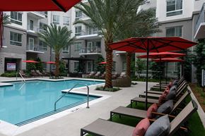 Canoga Park apartment for rent - A pool surrounded by palm trees, poolside seating, and red umbrellas.