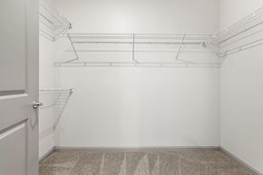 Tampa apartment for rent - A white closet with a carpeted floor and a door.