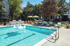 San Jose apartment for rent - A swimming pool with a diving board and lounge chairs.