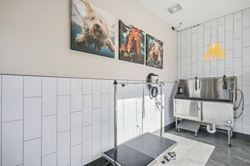 Pet spa