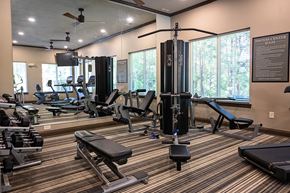 Raleigh apartment for rent - A gym with a variety of equipment including a squat rack, bench, and weights.