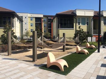 Tranquil hammock garden