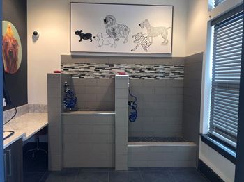 Pet spa