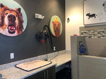 Pet spa