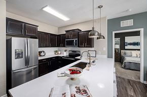 Raleigh apartment for rent - interior model kitchen with stainless steel appliances