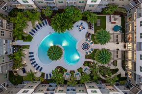 Winter Park apartment for rent - A pool surrounded by palm trees and a white fence.