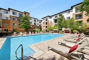 Denver apartment for rent - A pool surrounded by sun loungers and trees.