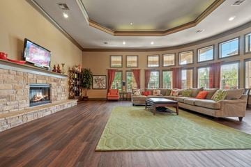 Mansfield apartment for rent - a living room with a fireplace and couches and a rug